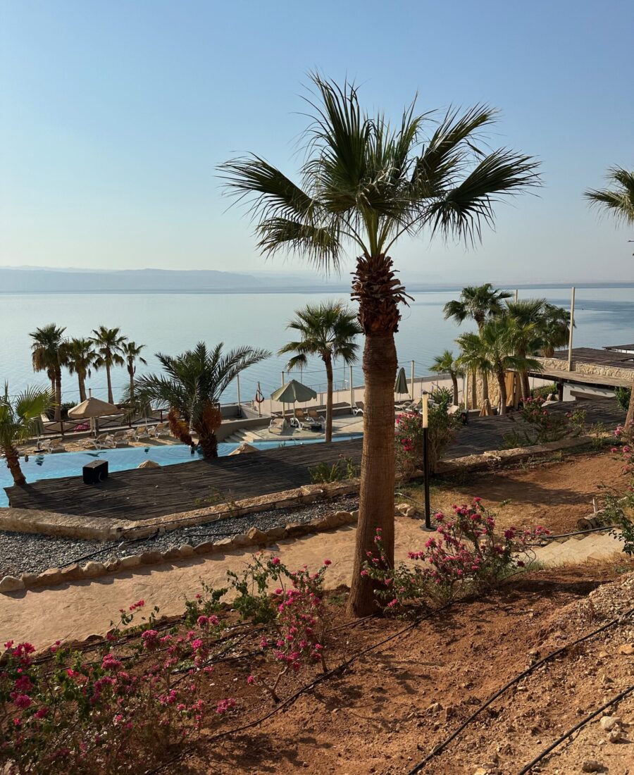 Dead Sea Hotel