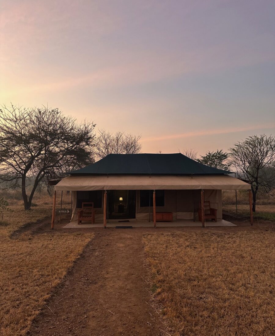 Serengeti Safari Luxury Camp