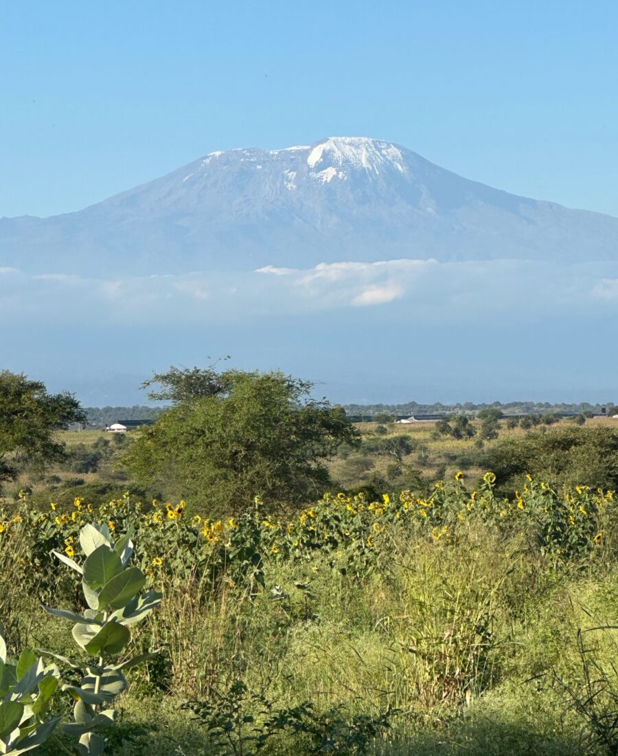 Mount Kilimanjaro