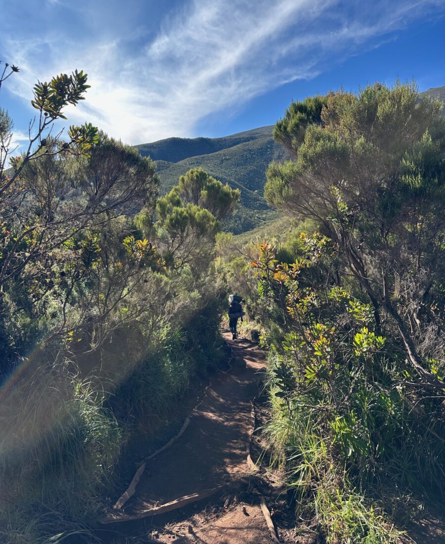 Mount Kilimanjaro